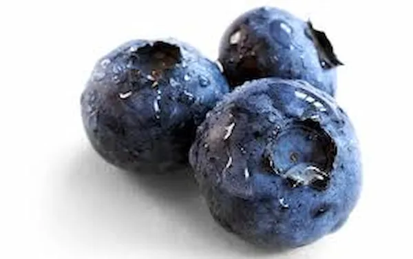 خرید و قیمت فروش عمده میوه خشک