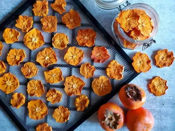 خرید و قیمت میوه خشک بدون شکر